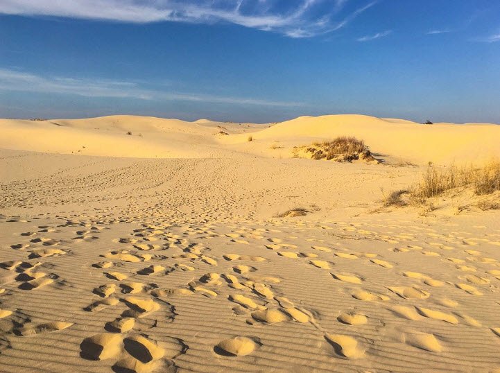 Monahans Sandhills State Park, Texas, USA